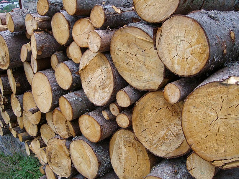 What is the Best Wood for a Hammock Stand? (With Pictures)
