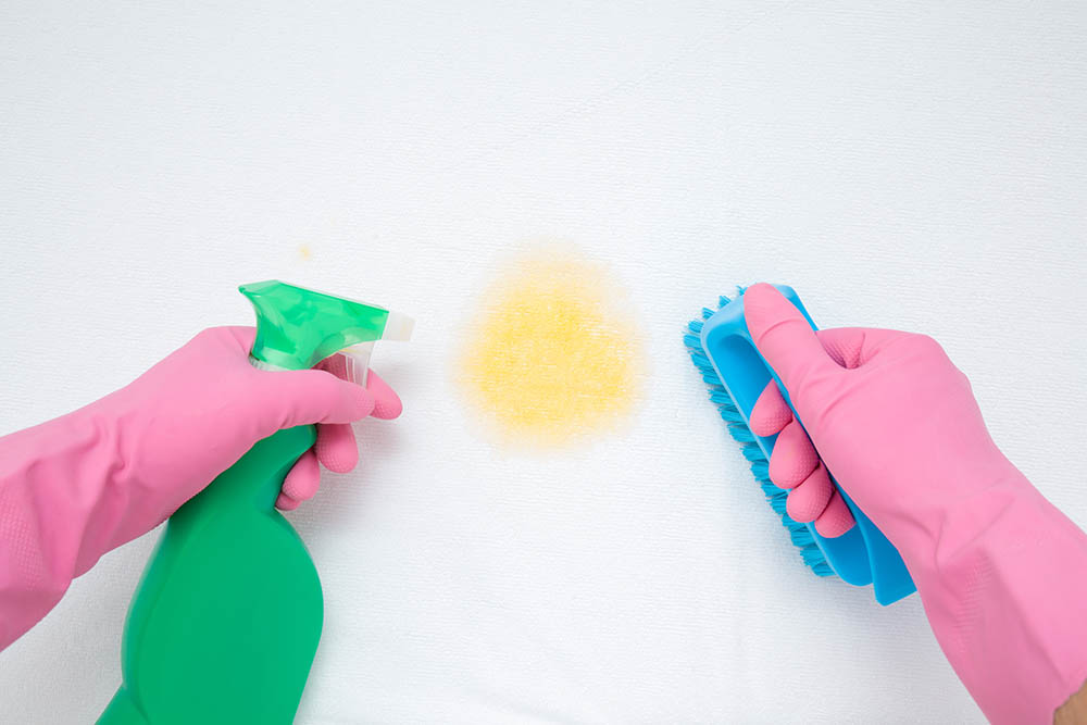 How To Get Rabbit Pee Out Of A Mattress In 10 Steps (With Pictures)