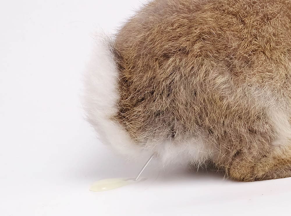 How To Get Rabbit Pee Out Of A Mattress In 10 Steps (With Pictures)