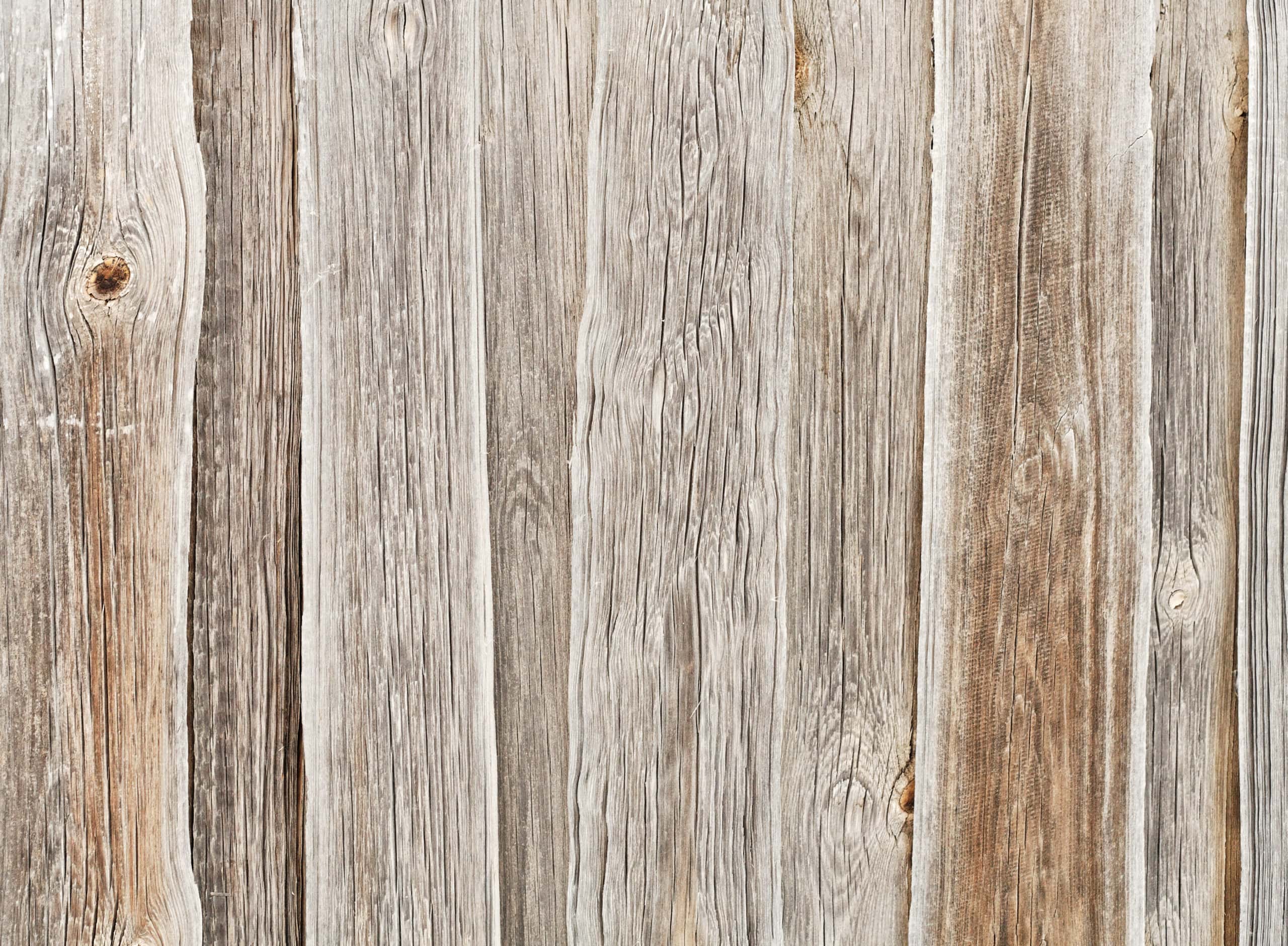 What Is The Best Wood For Picnic Tables? (With Pictures)