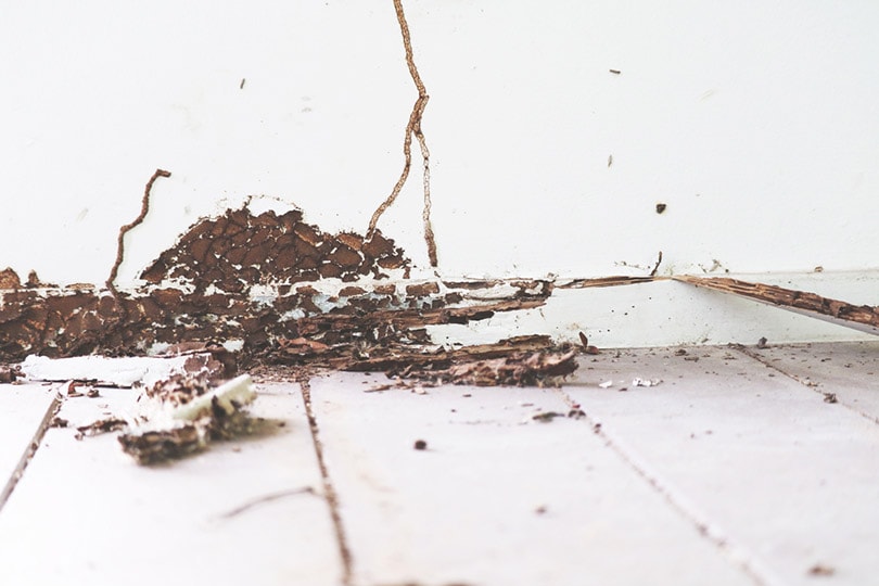 How to Fix Uneven Floors in an Old House in 7 Simple Steps (with Pictures)