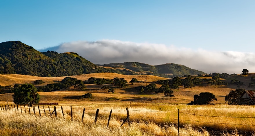 Can You Build A Fence On An Easement? Is It The Best Idea?