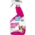 10 Best Carpet Cleaner for Dog Urine in 2022 – Reviews & Top Picks