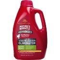 10 Best Carpet Cleaner for Dog Urine in 2022 – Reviews & Top Picks