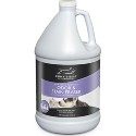 10 Best Carpet Cleaner for Dog Urine in 2022 – Reviews & Top Picks