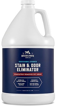 10 Best Carpet Cleaner for Dog Urine in 2022 – Reviews & Top Picks