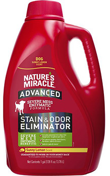 10 Best Carpet Cleaner for Dog Urine in 2022 – Reviews & Top Picks