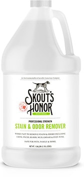 10 Best Carpet Cleaner for Dog Urine in 2022 – Reviews & Top Picks