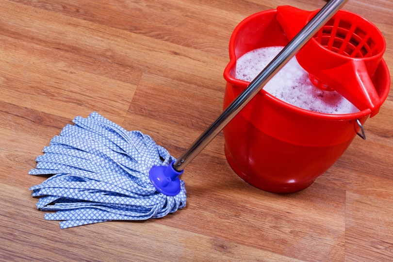 How to Get Paint Off Hardwood Floors in 4 Easy Steps (with Pictures)