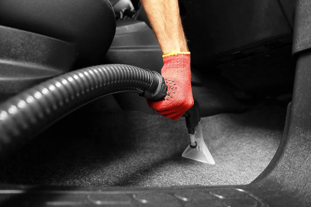 How To Clean Dog Hair From a Car In 6 Easy Steps (With Pictures)