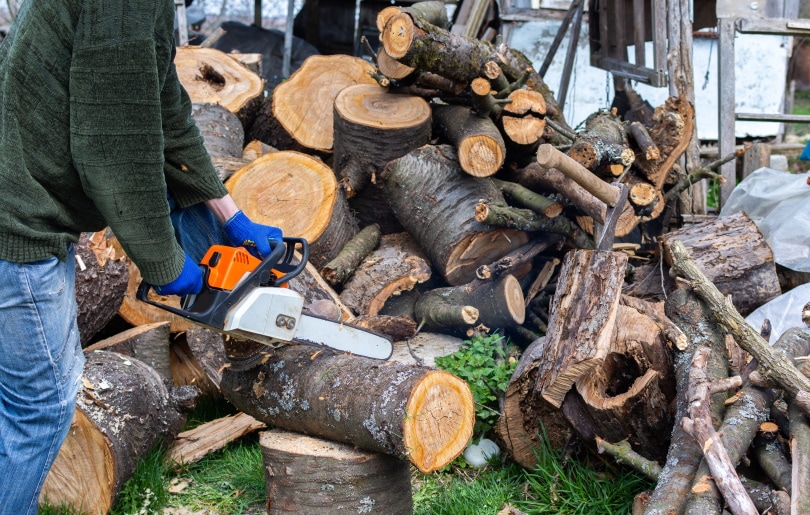 What Is The Best Wood For Turning? What You need To Know!