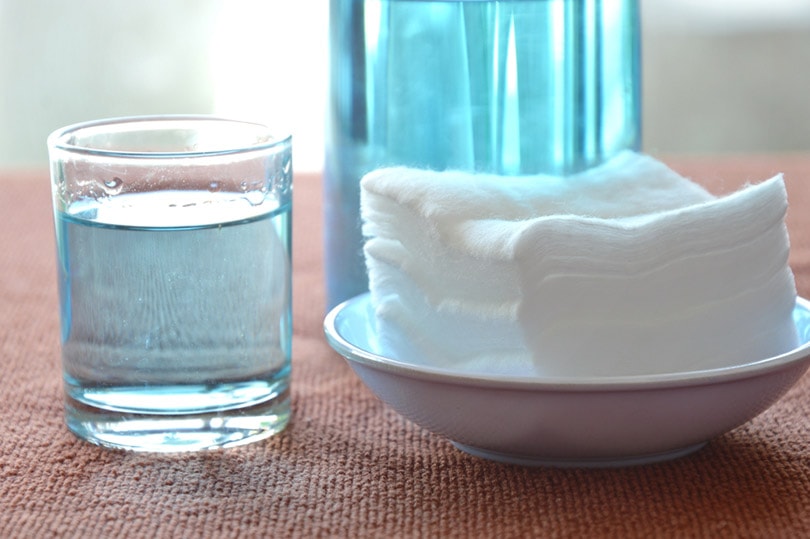How to Get Dog Pee Smell Out of Laminate Flooring: 6 Practical Options