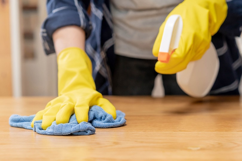 How to Get Dog Poop Smell Out of Hardwood Floor: 4 Practical Options