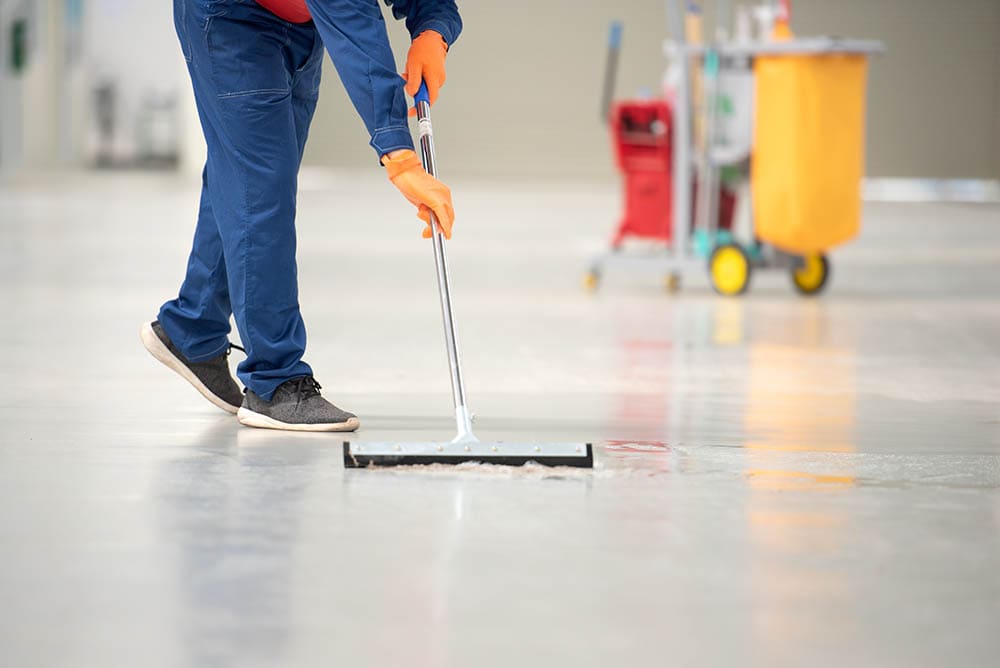 How To Get Rid of Mouse Urine Smell In a Garage In 7 Steps