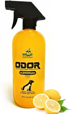 10 Best Cat Urine Remover for Hardwood Floors In 2022 – Reviews & Top Picks