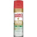 10 Best Cleaners for Dog Urine on Laminate Floors in 2022 – Reviews & Top Picks