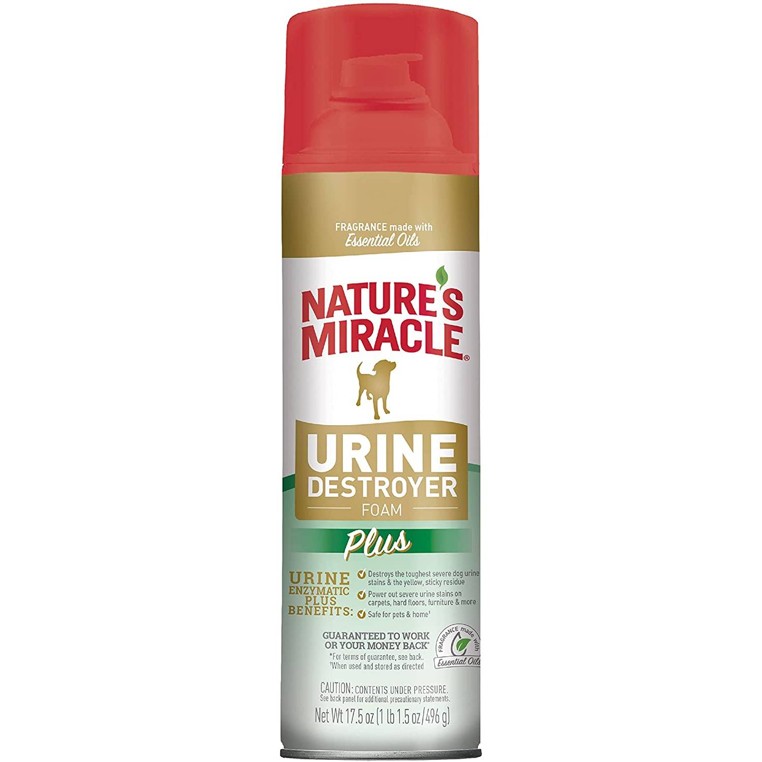 10 Best Cleaners for Dog Urine on Laminate Floors in 2022 – Reviews & Top Picks