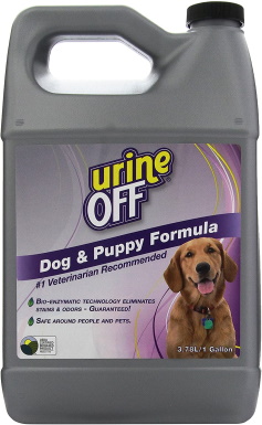 10 Best Tile Floor Cleaners for Dog Urine in 2022 – Reviews & Top Picks