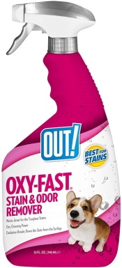 10 Best Carpet Cleaners for Dog Vomit in 2022 – Reviews & Top Picks