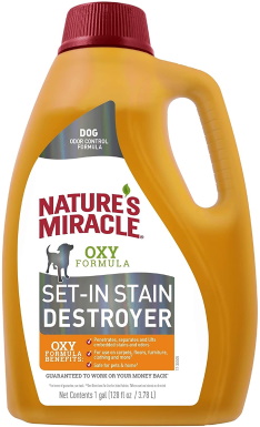 10 Best Carpet Cleaners for Dog Vomit in 2022 – Reviews & Top Picks