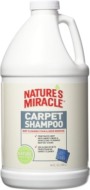 10 Best Carpet Cleaners for Dog Vomit in 2022 – Reviews & Top Picks