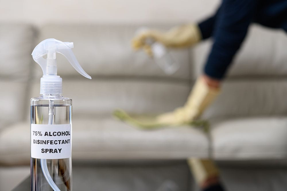 How to Get Pee Smell out of a Leather Couch: 5 Practical Options