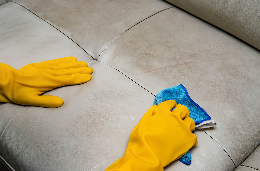 How to Get Pee Smell out of a Leather Couch: 5 Practical Options