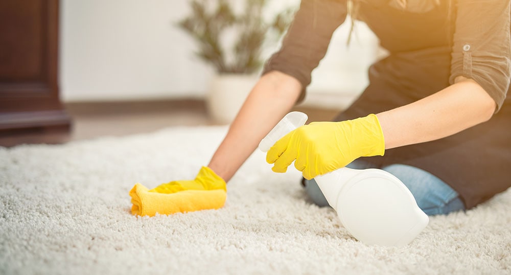 How To Clean Dog Vomit From A Wool Rug In 6 Steps (With Pictures)