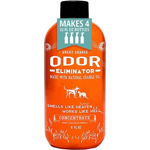 10 Best Cleaners for Dog Urine on Hardwood Floors in 2022 – Reviews & Top Picks