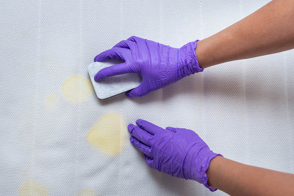 How to Get Cat Urine Smell and Stains out of a Mattress: 3 Practical Options