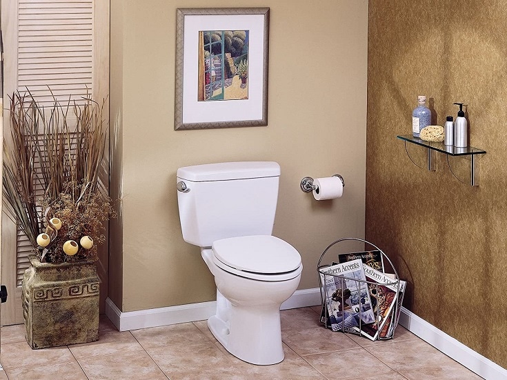 5 Best Handicap Toilets to Buy in 2022 – Reviews & Top Picks