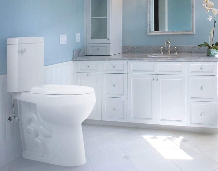 5 Best Handicap Toilets to Buy in 2022 – Reviews & Top Picks