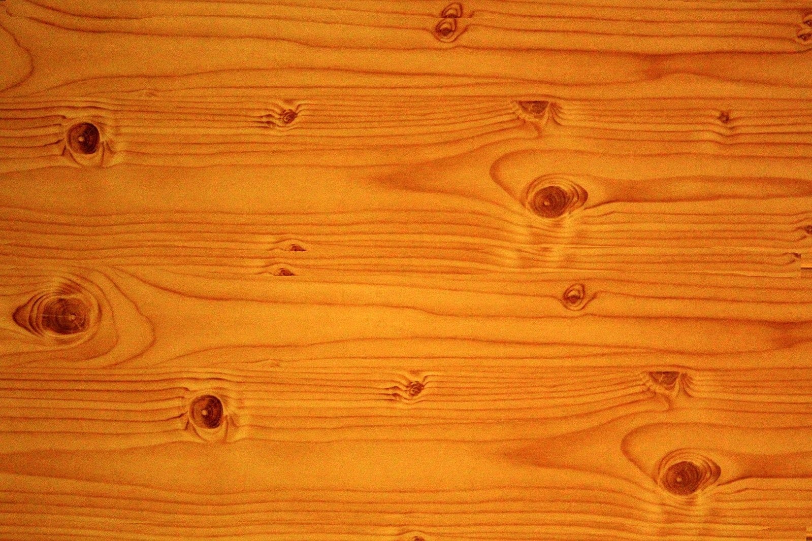 What’s the Best Wood for an Axe Handle?