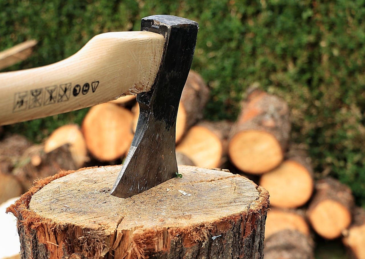 What’s the Best Wood for an Axe Handle?