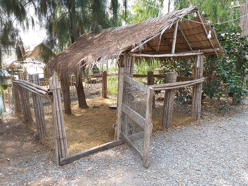 How To Get Rid of a Chicken Coop Smell In 10 Steps (with Pictures)