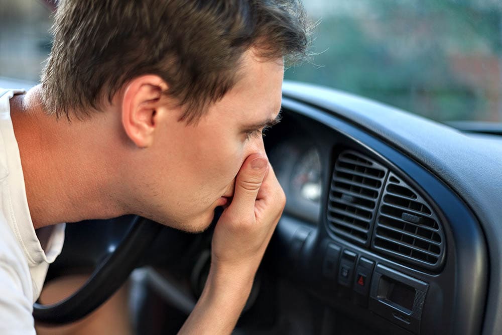 How To Get Rid Of Rat Urine Smell In a Car In 7 Steps (with Pictures)