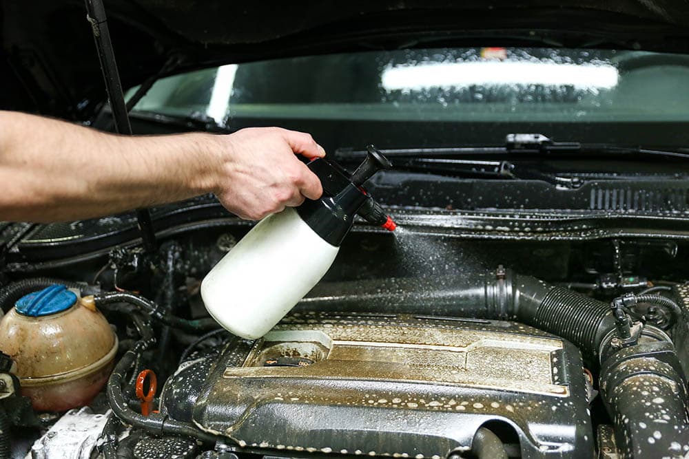 How To Get Rid Of Rat Urine Smell In a Car In 7 Steps (with Pictures)