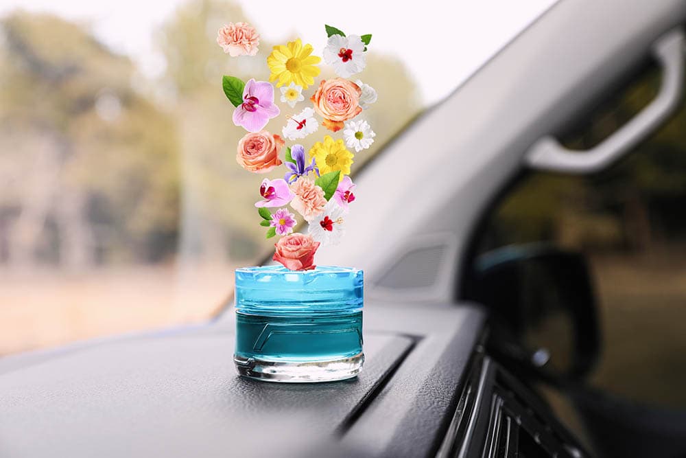 How To Get Rid Of Rat Urine Smell In a Car In 7 Steps (with Pictures)