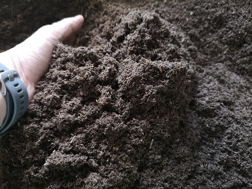 Can You Put Meat in Compost? What You Need To Know!