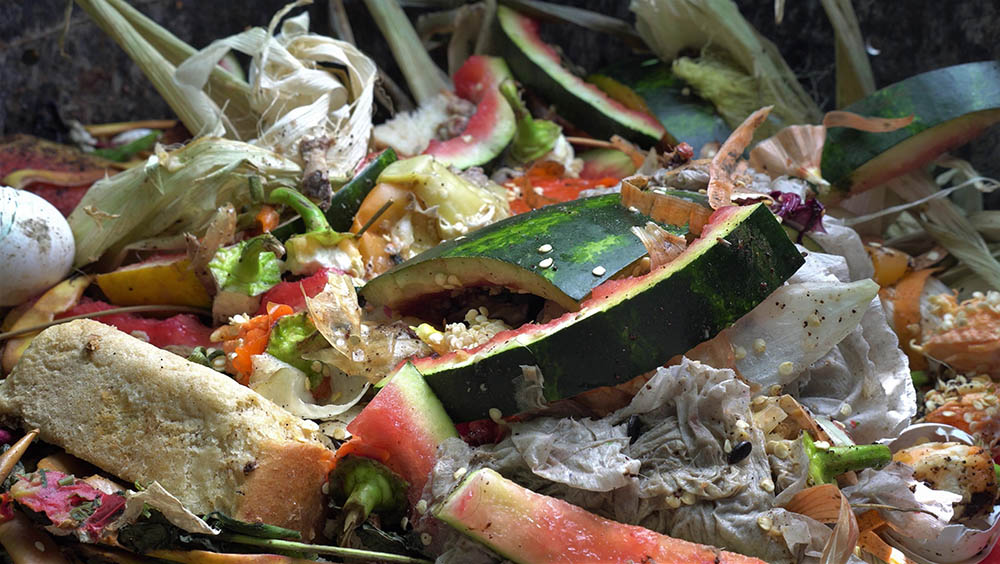 Can You Compost Bread? What You Need To Know!