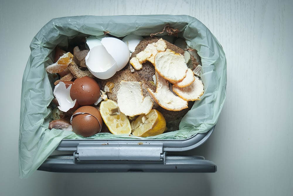Can You Compost Bread? What You Need To Know!