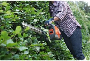 7 Best Gas Hedge Trimmers of 2022 &#8211; Reviews &#038; Top Picks