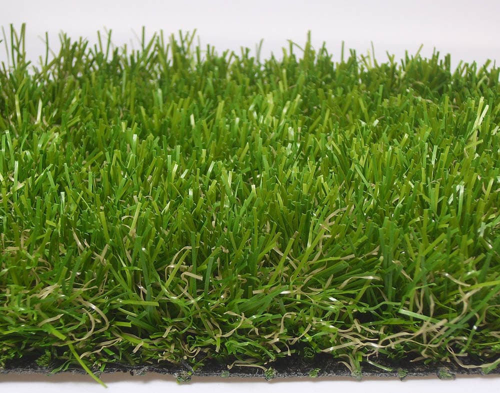 12 Types of Grass & Their Benefits (With Pictures)