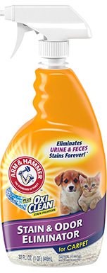 9 Best Carpet Cleaners for Cat Urine in 2022 – Reviews & Top Picks